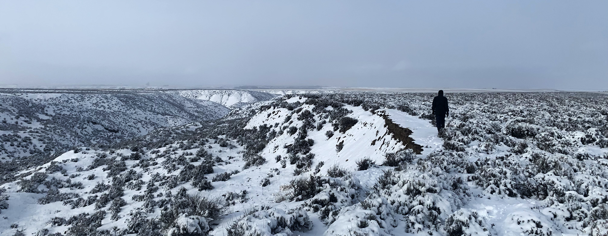 Hanna walking through endless sage prairie covered with snow